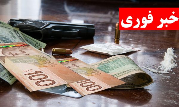 عکس تزیینی می باشد