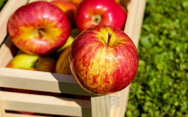 apple