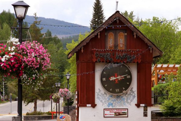 Cuckoo clock