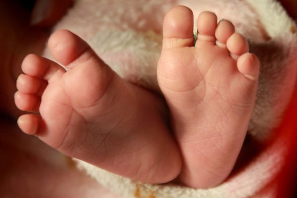 feet