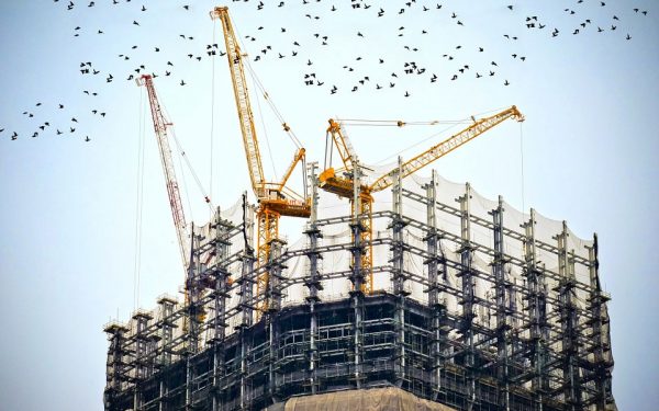 عکس تزیینی می باشد