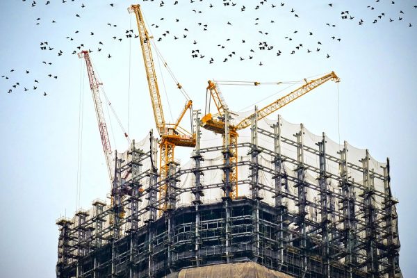 عکس تزیینی می باشد