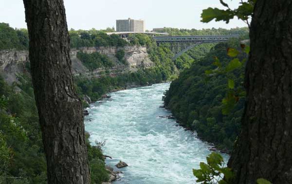 Niagra