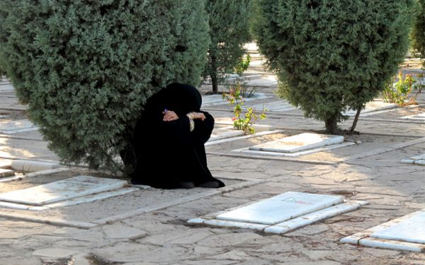 عکس تزئینی می باشد