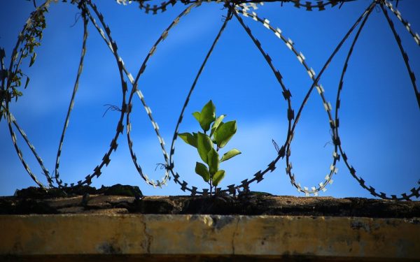 jail
