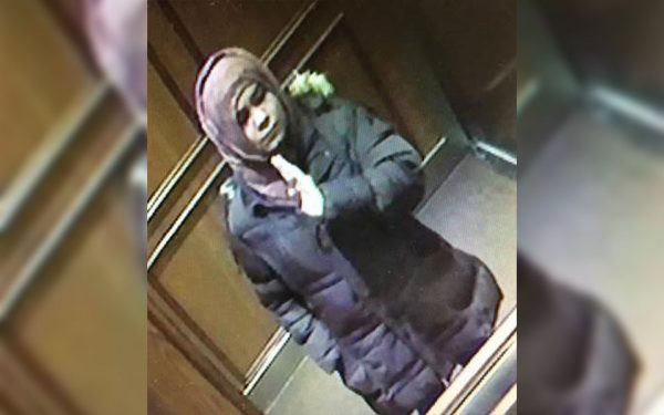 Missing girl Madina Soltani, 15