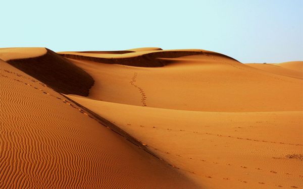 desert