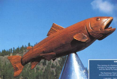 Kamloops Trout