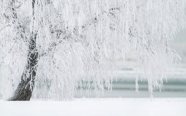 snow
