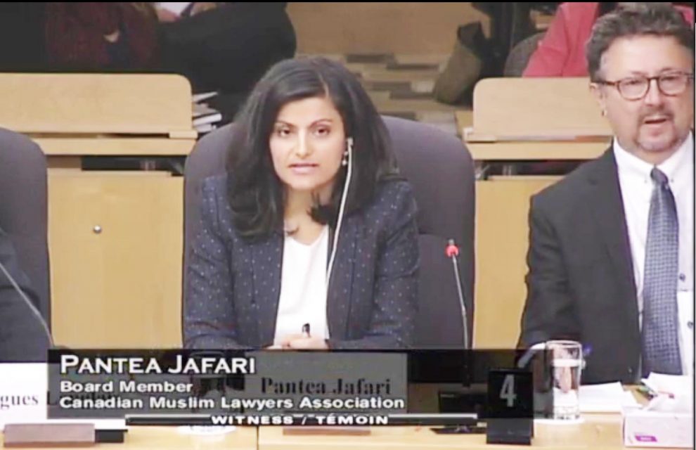 پانته آ جعفری وکیل و فعال اجتماعی در 4 دسامبر در آخرين جلسه کميته امنيت و دفاع سنای کانادا National Security and Defence Committee حاضر شد و از طرف انجمن وکلاي مسلمان کانادا Canadian Muslim Lawyers Association- CMLA در انتقاد از برخي از مفاد اين لايحه سخن گفت.