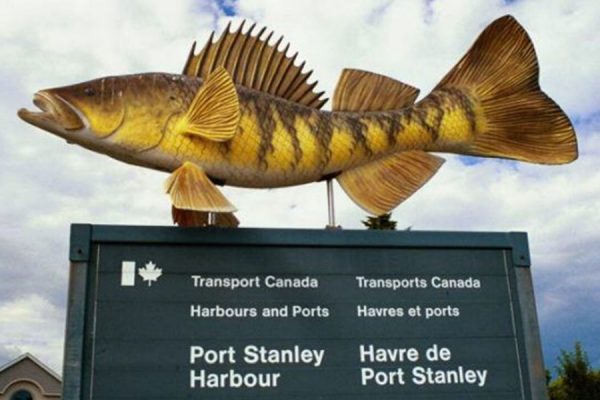 fish