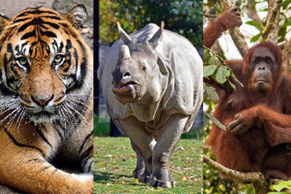 zoo