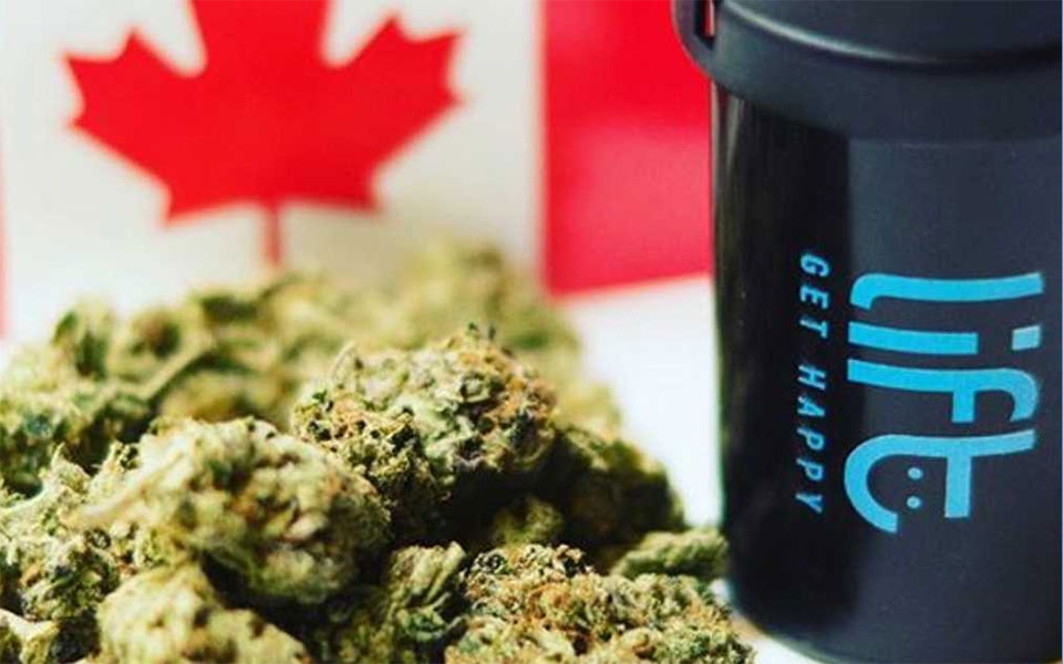 @Instagram/Lift Canada