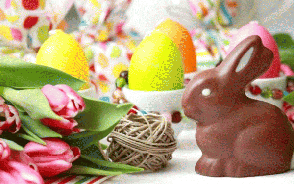 BunnyWeb