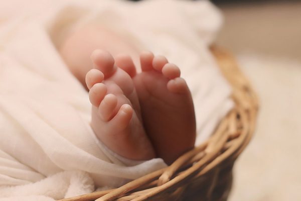 feet