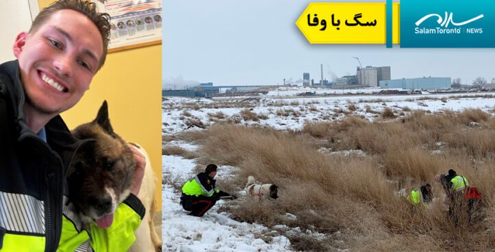 نجات مرد آلبرتایی که 2 روز در گل گیر کرده بود توسط سگش